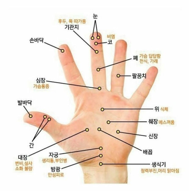  '지압' 효과와 부작용;자오선,손바닥부위,발바닥부위,지압점,인체자극,민간요법,에너지,지압치료,흐구,주산리,네구안,지압주의사항,맛사지(massage),마사지주의.