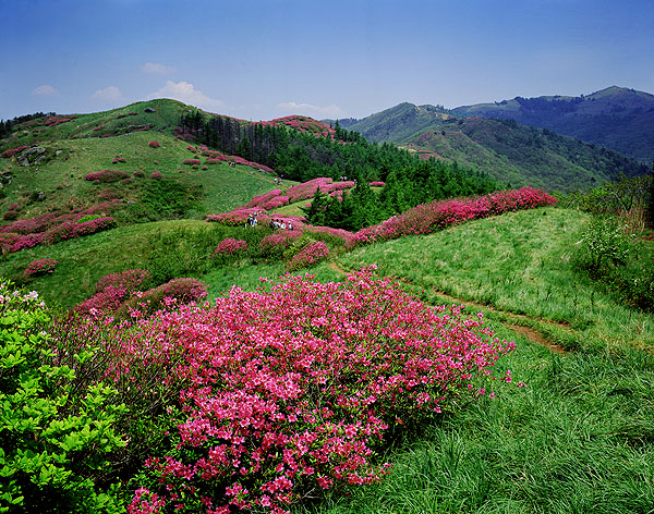 지리산 대표경관