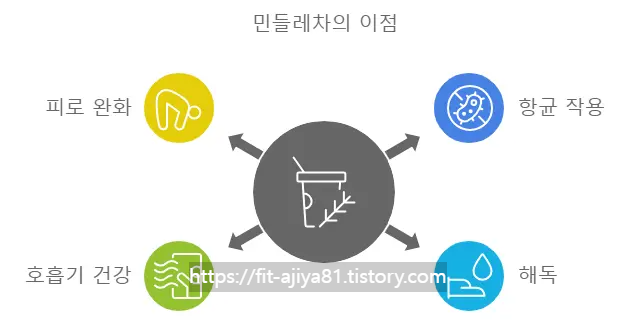 민들레차 효능