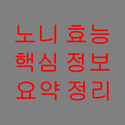 노니효능-핵심정보-요약정리