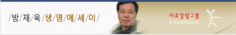  ‘헌수 수목 터널 길’을 걸으며... [추천시글]