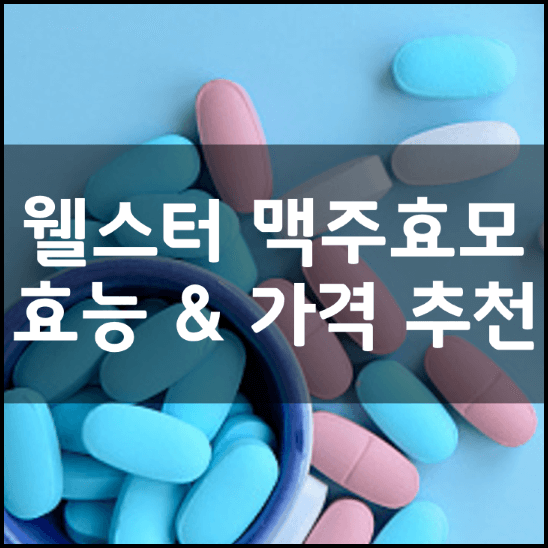 웰스터-맥주효모환-4000-만-썸네일