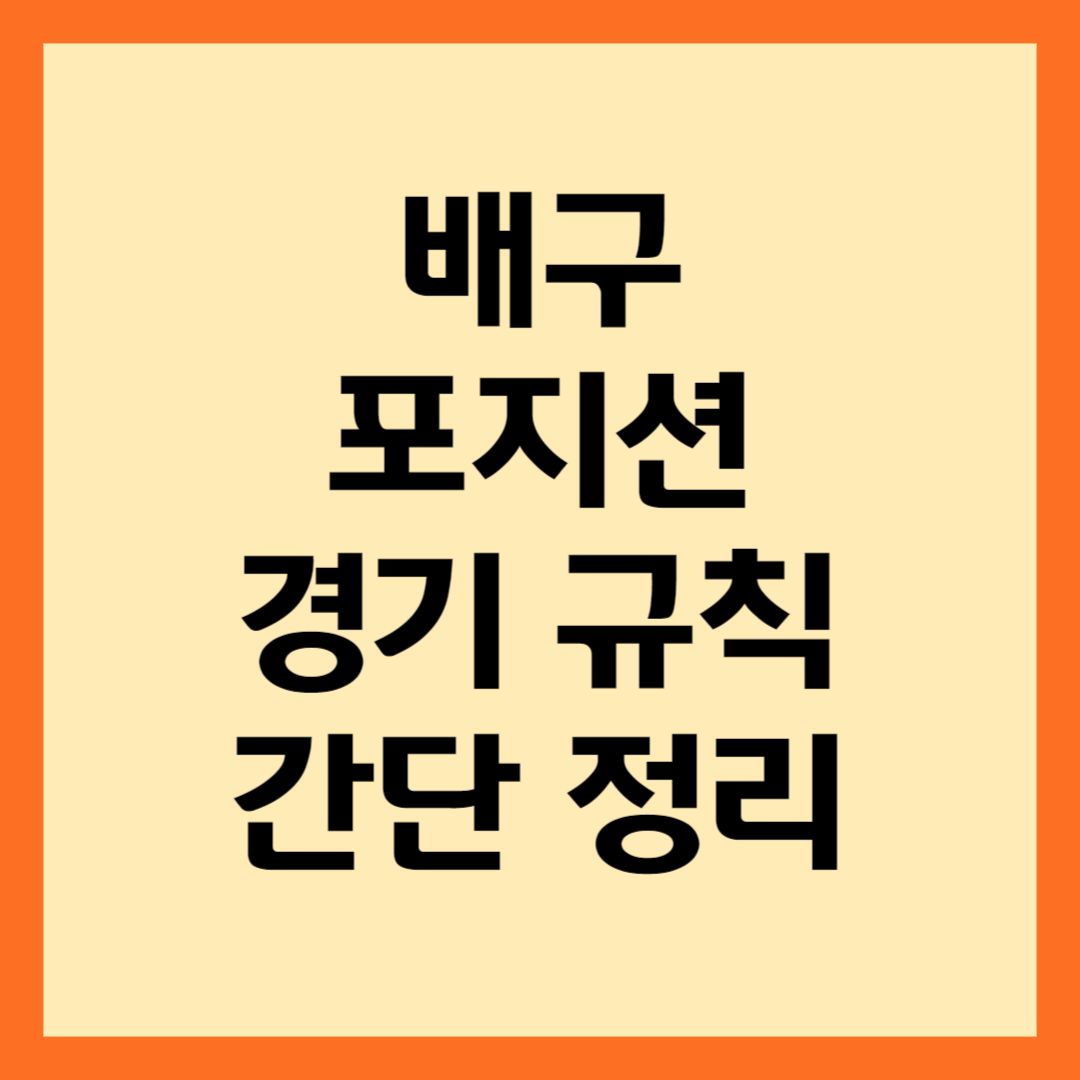 배구-포지션-간단-룰