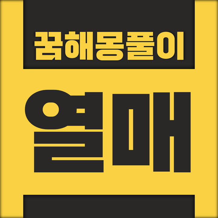 모과, 살구 등 열매 관련 꿈해몽 풀이 모음
