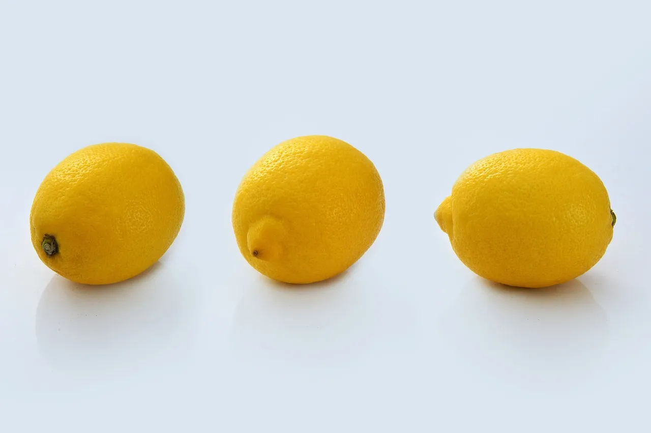 집중력 높이는 음식 - 레몬