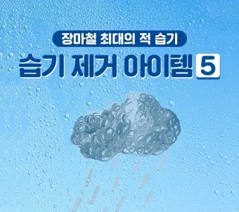 습기 제거제 습기 제거 방법_2