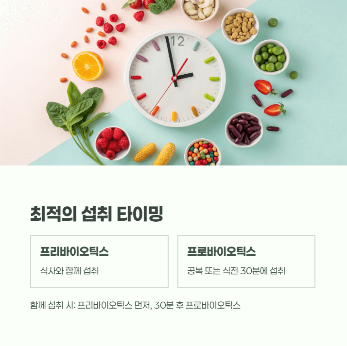 프리바이오틱스와 프로바이오틱스 차이점