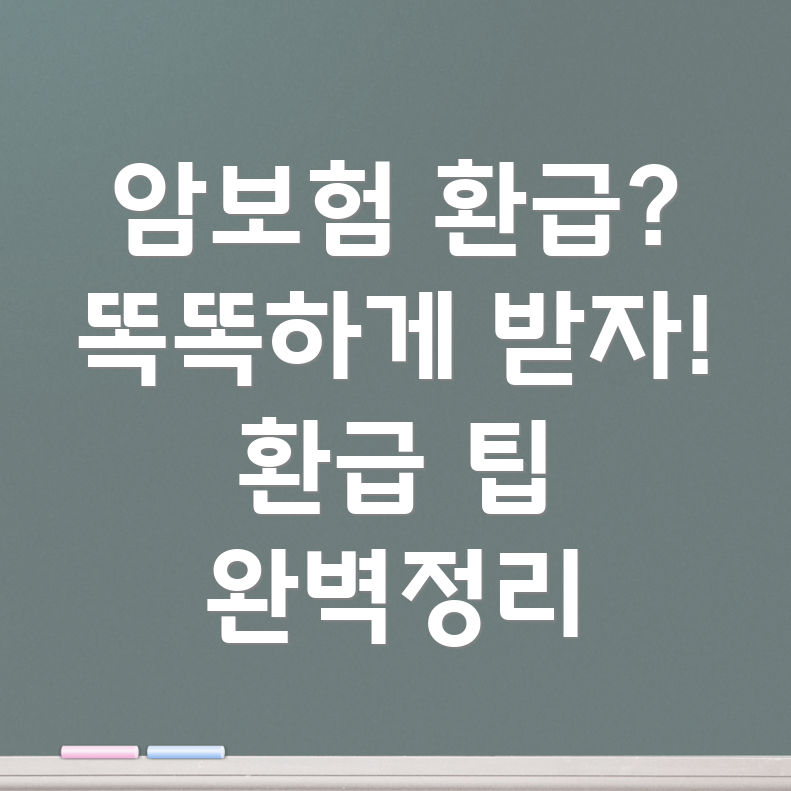 암보험 환급