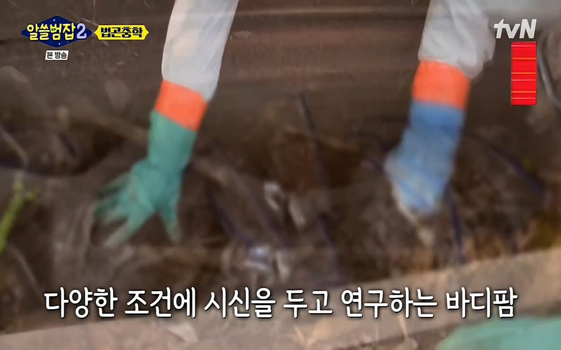 알쓸범잡 2.E15.220425p-NEXT.mp4_20220425_182205.850.jpg
