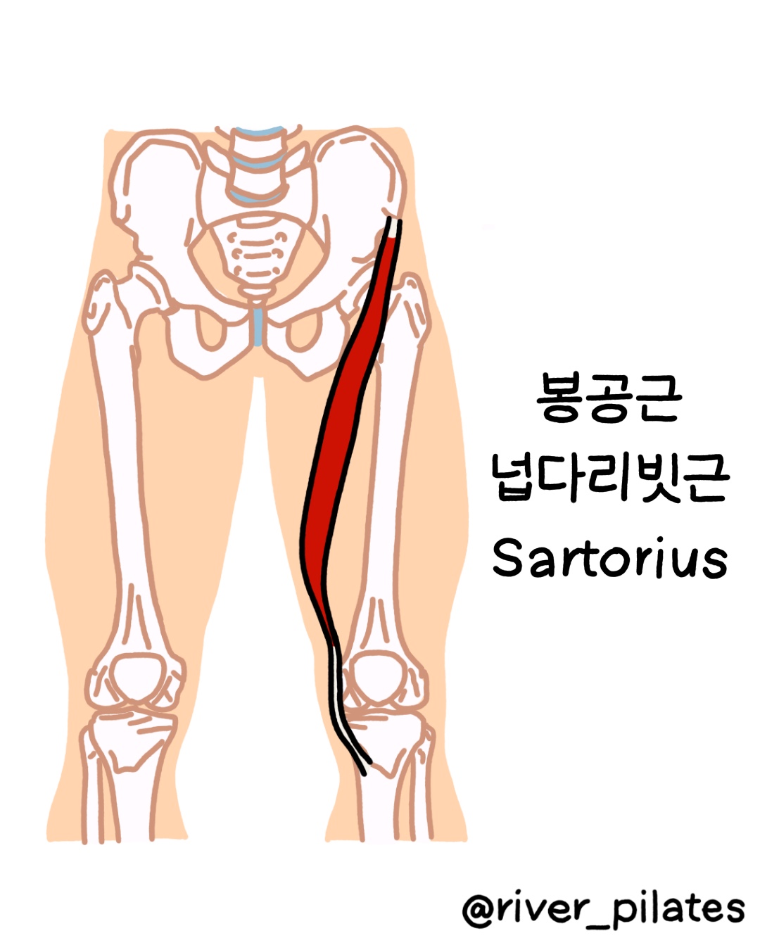 봉공근