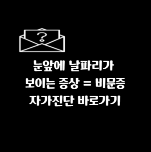비문증자가진단