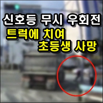  신호등 무시한채 우회전하는 트럭에 치여 초등생 사망