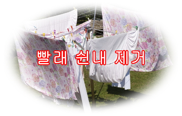  빨래 쉰내 제거 방법 유용한 TIP