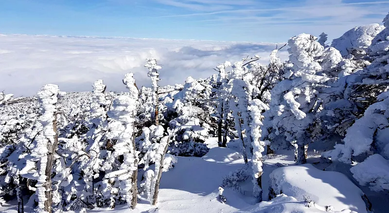 제주 한라산 설경 상고대