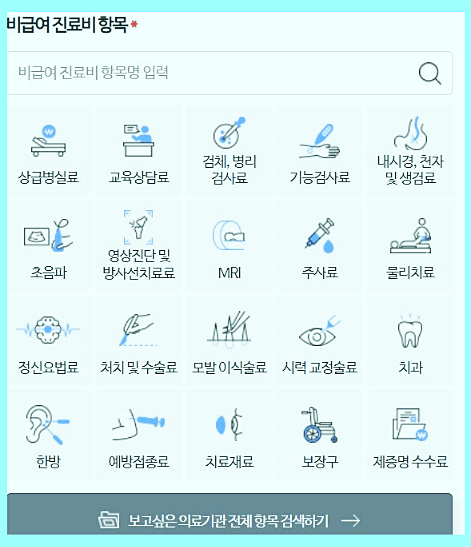 비급여-진료비-항목