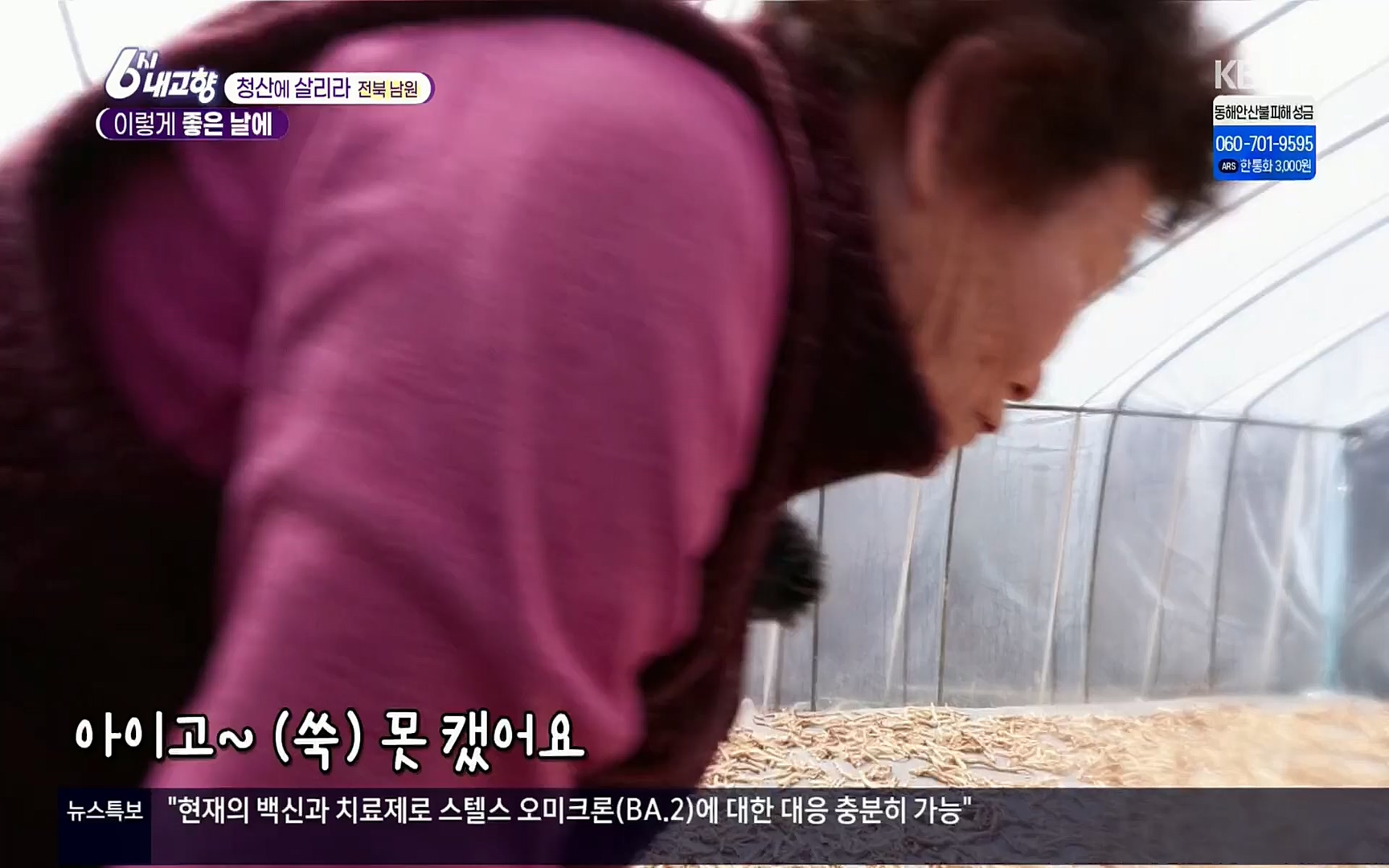 6시 내고향.E7496.220324p.H264-F1RST.mp4_20220328_181620.291.jpg