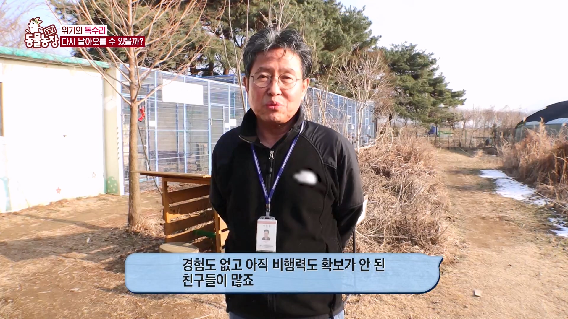 TV 동물농장.E1157.240204p-NEXT.mp4_20240204_172402.884.jpg