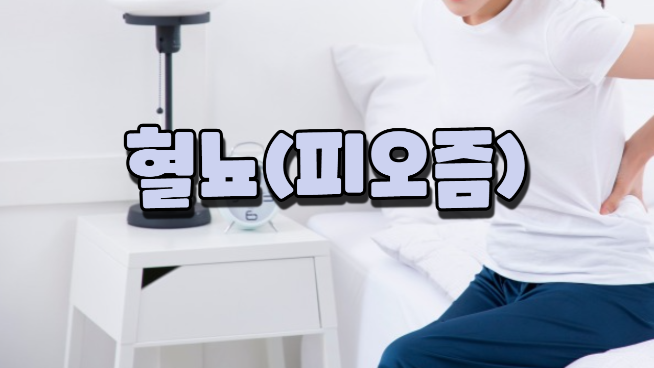  혈뇨