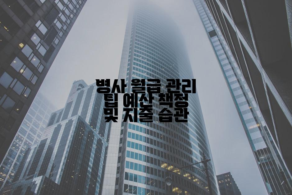 병사 월급 관리 팁 예산 책정 및 지출 습관