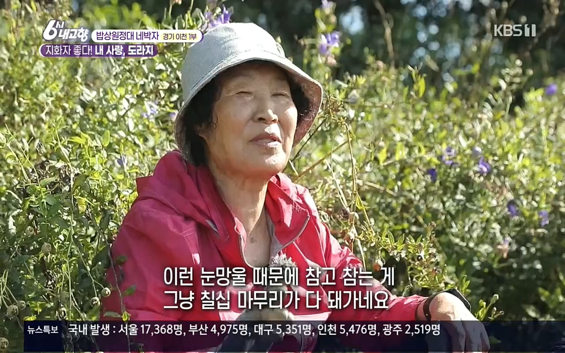 6시 내고향.E7617.220915p.H264-F1RST.mp4_20220916_213102.459.jpg