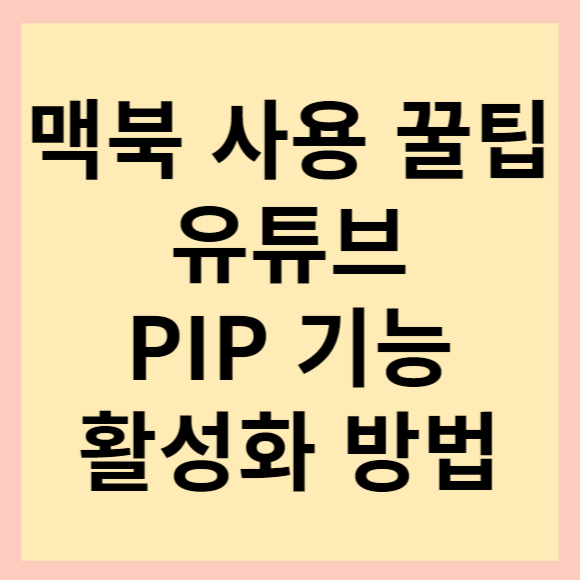 [맥북 사용 꿀팁 소개] 맥북 유튜브, 넷플릭스 pip기능 활성화 방법(feat. 단축키, 사파리 확장 프로그램 설치)