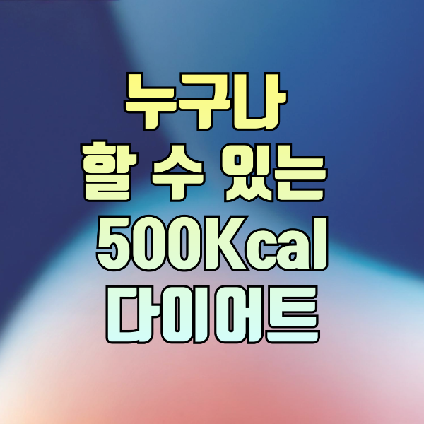 누구나 할 수 있는 500칼로리 다이어트