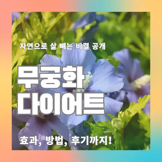 무궁화 다이어트