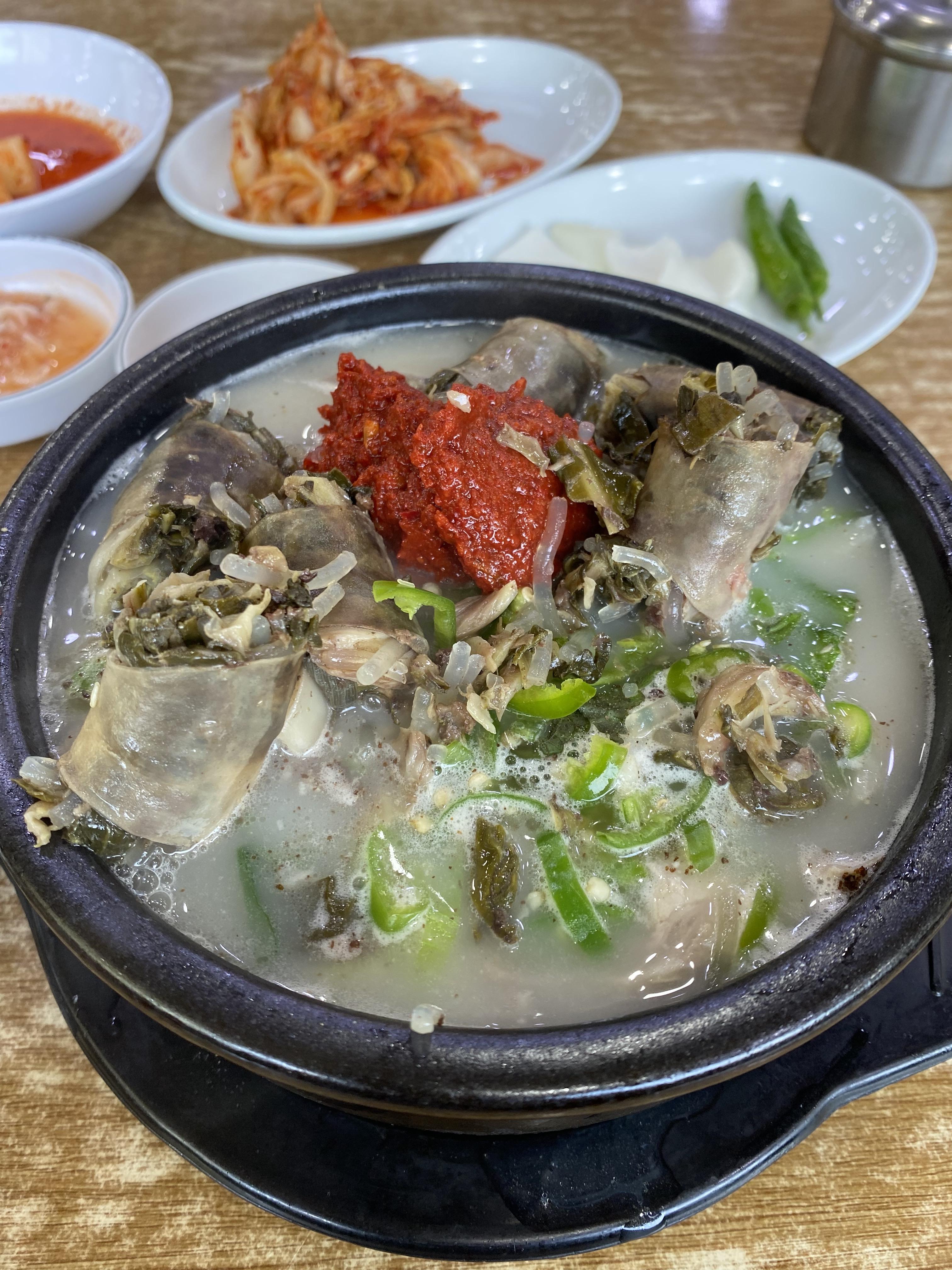 구로 서일순대국 특짜 도림천 토끼 새로 만든 티스토리 하루도 안돼서 네이버 검색 반영 롯데 시그니앨 자동차 교육비 아이폰 술집 밥집 결제