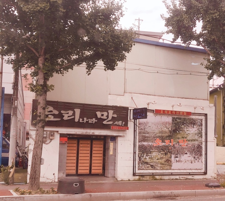  생방송투데이 자족식당 들깨 오리탕 오리 주물럭 광주 맛집