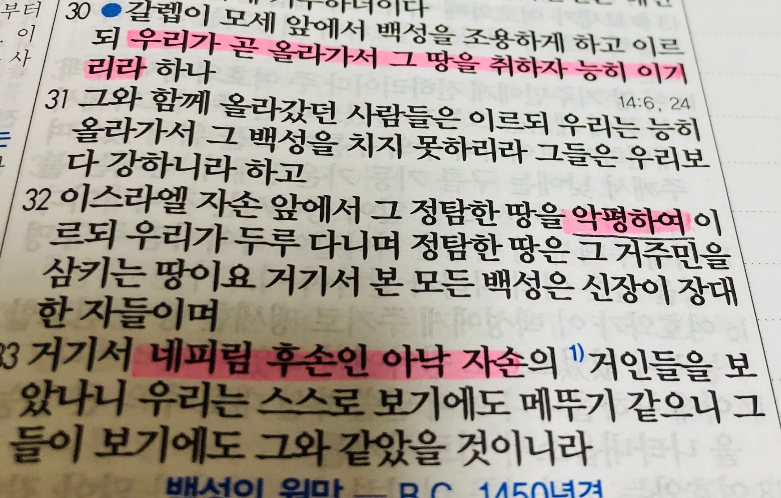 정탐꾼들&#44; 성실한 지도자라고 해서 다 믿음이 있는 것은 아님