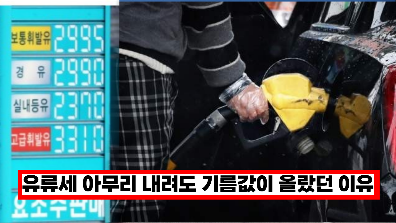  '여기서 돈 싹쓸어갔네' 유류세 아무리 내려도 기름값은 오히려 올랐던 이유는 사실 '이것'