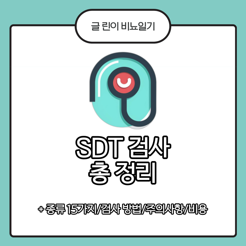  SDT 검사 총 정리
