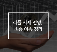  리플 시세 전망, 소송 이슈 관련