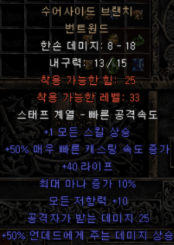  디아블로2 번트원드(수어사이드 브랜치 번트원드)