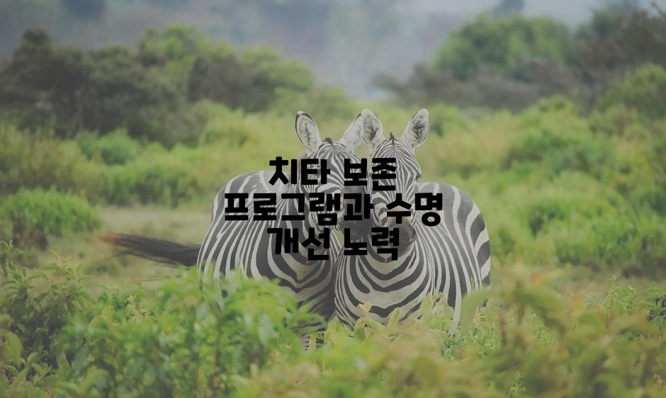 치타 보존 프로그램과 수명 개선 노력