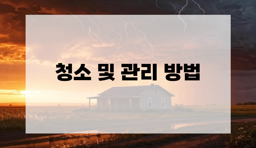 청소 및 관리 방법
