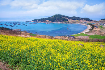 청산도 비경