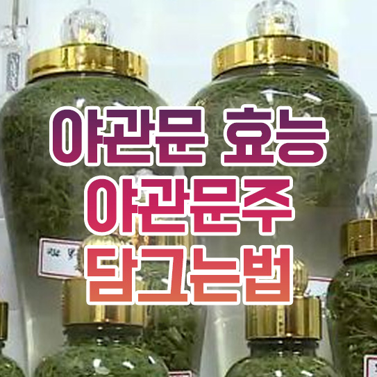  야관문 효능 야관문주 담그는 법