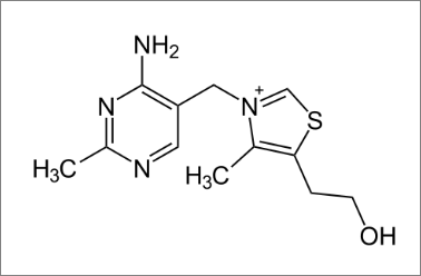 티아민 분자구조