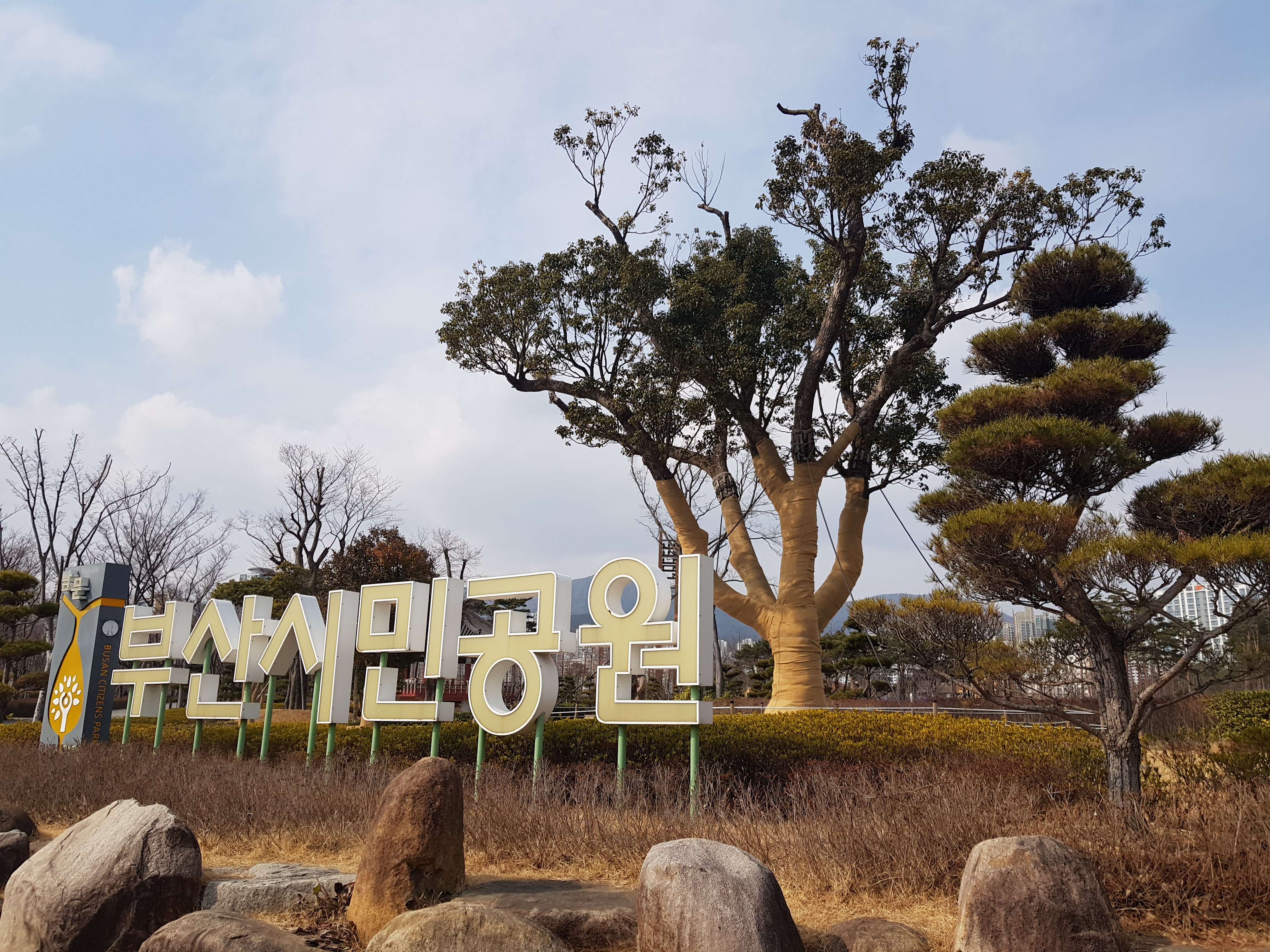  [부산 서면] 부산시민공원/주말에는 아이들과 도심속의 쉼터로 나들이 최고예요