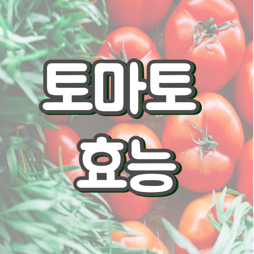 토마토 효능