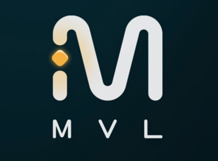  엠블(MVL) 코인 전망