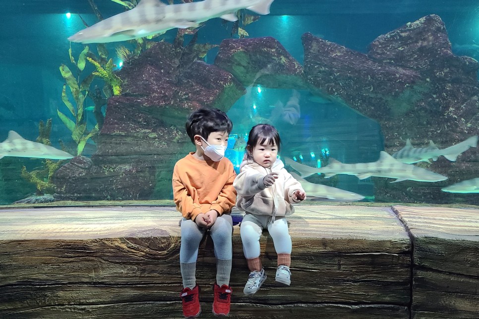 부천 아쿠아리움 부천 아쿠아리움먹이주기 체험 22