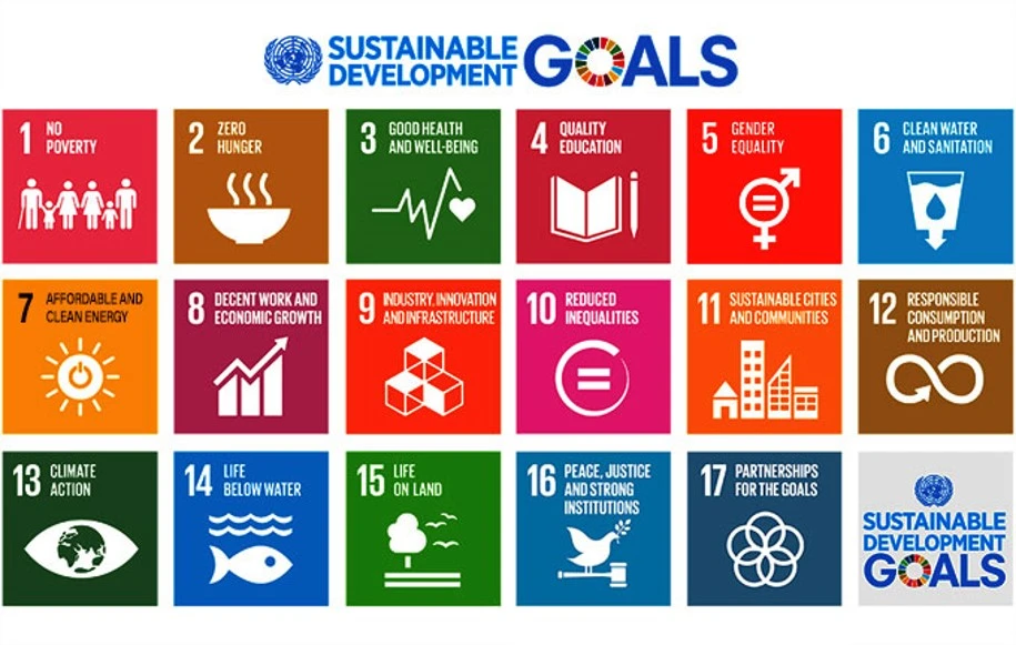 17개의 SDGs 목표