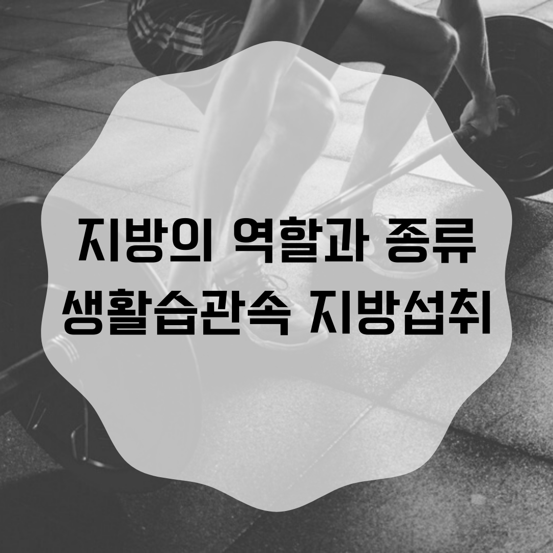  뱃살 빼기 다이어트 식단 관리 한다고 지방 섭취를 안하면?