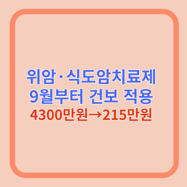 위암&#44; 식도암 항암치료제 건보 적용