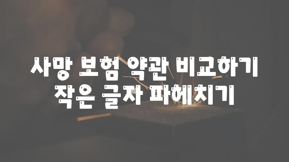 사망 보험 약관 비교하기 작은 글자 알아보기