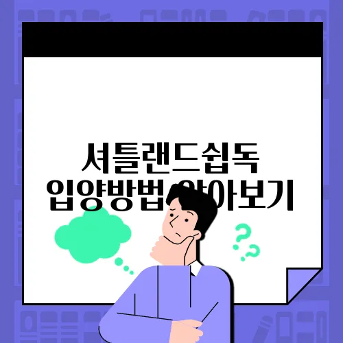 셔틀랜드쉽독 입양방법 알아보기