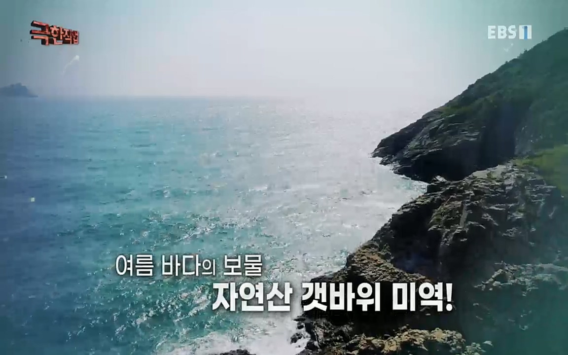 TV - 교육의 중심 EBS바다와 산의 여름 보물, 갯바위 미역 & 꽃송이버섯.mp4_20220828_145306.711.jpg