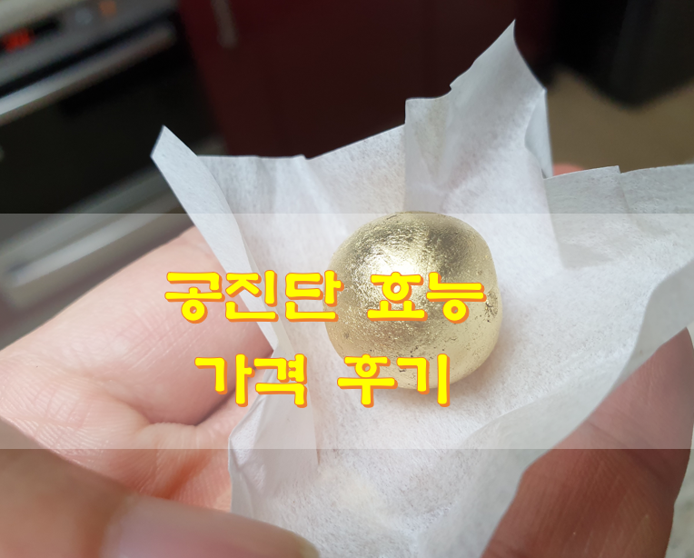  공진단 효능 가격 후기